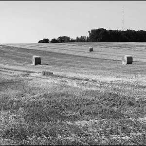 Rundballen BW.jpg