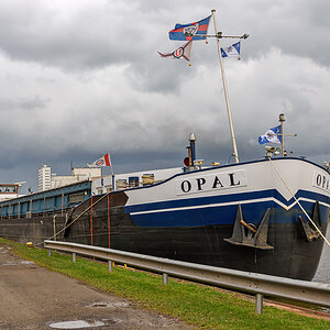 OF2_67255.jpg