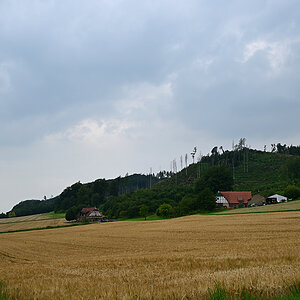 Z8A_0262t1l5s45p1.jpg