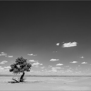 _DS24849.jpg