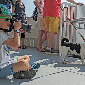 laboe_faehre_hund.jpg