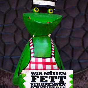 Fettfrosch.jpg