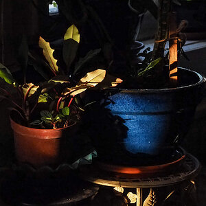 P8150001-Edit.jpg