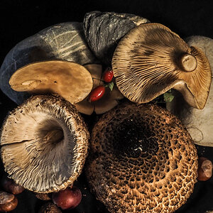 PB030013-Edit.jpg
