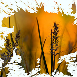 Digitale Kunst