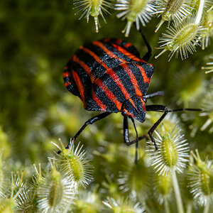 20240810-NZ6_3147.jpg