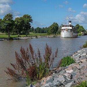 240819 Wilherlm Tham-1.jpg