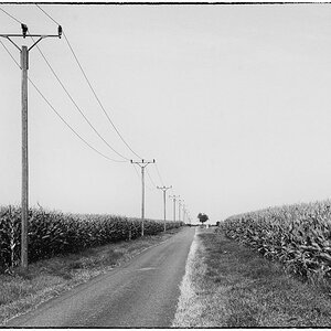 Corn-Alley BW 2.jpg