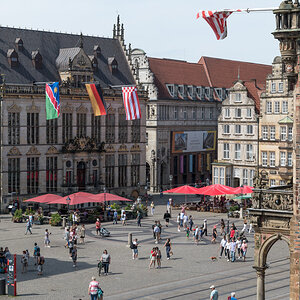 240801-020.jpg