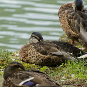NIKON_2024_00665NF.jpg