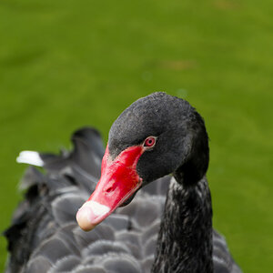 NIKON_2024_00667NF.jpg