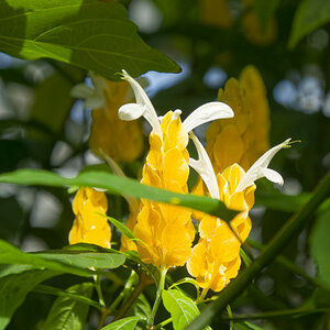 NIKON_2024_00770NF.jpg