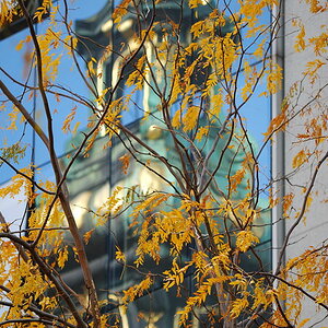 Stifftskirche SpiegelungDSC 1056