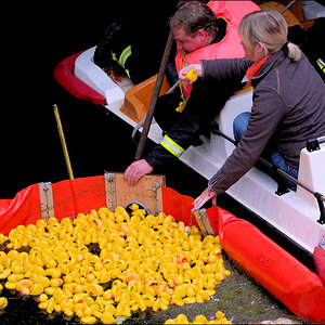 Entenrennen 2009 09 06 D2X 3797 1