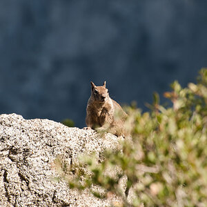 Yosemite 24