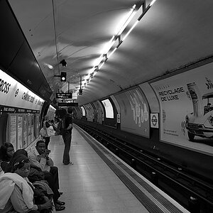 DSC7961 nff