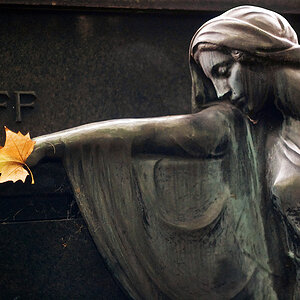 Les Feuilles Mortes