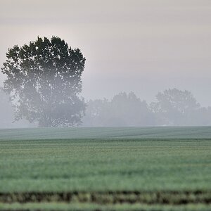 DSC5823kl