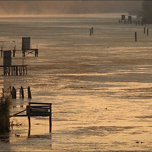 Rheinauen