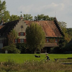DSC 0045 nff