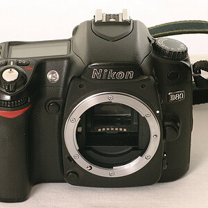 Meine gebraucht (140.000 Auslösungen) und halb kaputt gekaufte, reparierte Nikon D80, fotografiert mit meiner aus dem Kamerateil einer Nikon F60 und d