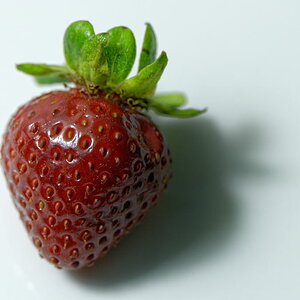 Erdbeere