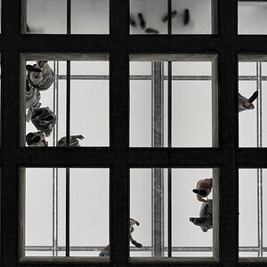 Neues Akrópolis-Museum (Athen)
