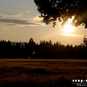 © www.snap-shot.at.tf