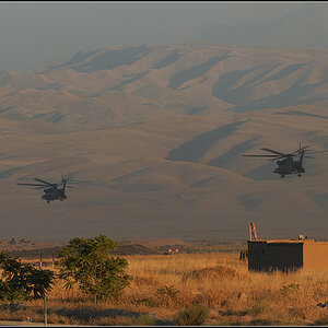 afg53