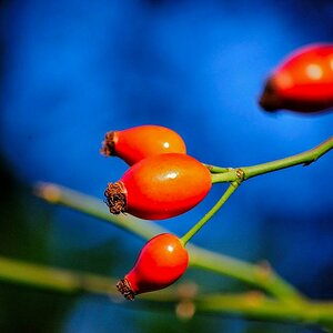 Herbst 004
