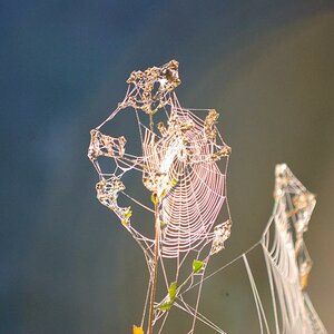 Herbst 106