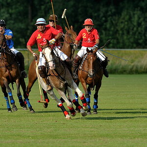 20090828 170402 polo schwifting