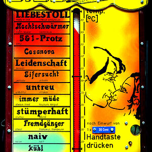Liebesbarometer - Bad Godesberg - 2008