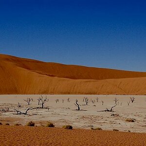 Deadvlei008