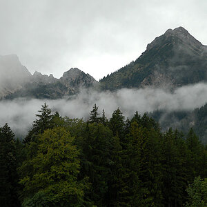 nebel allgaeu