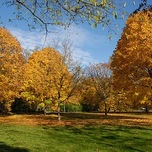 indian summer 2006