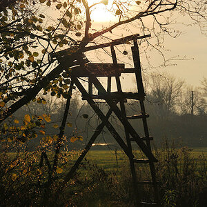 Hochsitz / Jägerstand:
AF-S DX 18-200/3.5-5.6G ED VR, D60, ISO 200, f/8, 1/3200s, 82 mm