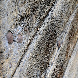 Minimalismus in verwittertem Holz