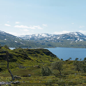 KSW03379 Haukeliseter.jpg
