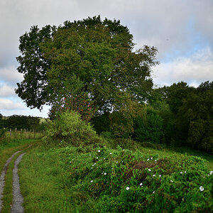 SKE_0560.JPG