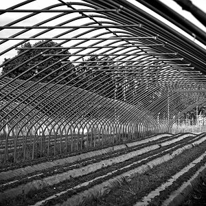 2024-08-25_09-43-28_NIKON Z 5_1200.jpg