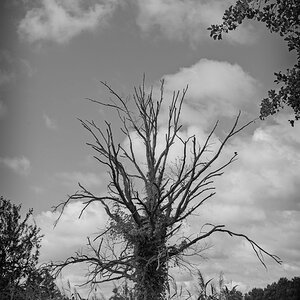 2024-08-25_09-32-38_NIKON Z 5_1200.jpg