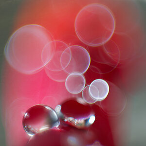 N8259957nikon.jpg