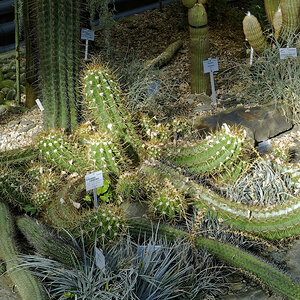 _DSC7485_DxOAxl.jpg
