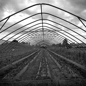 2024-08-25_09-42-54_NIKON Z 5_1200.jpg