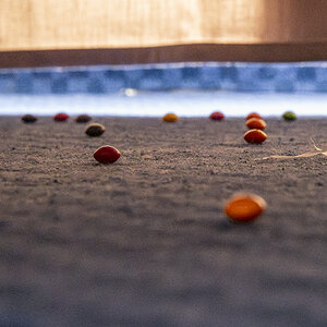 Colorline Smarties.jpg