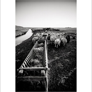 20240110-L1004777-Bearbeitet.JPG
