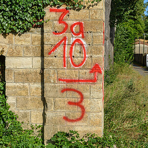 OF2_69711.jpg