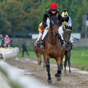 Aufgalopp