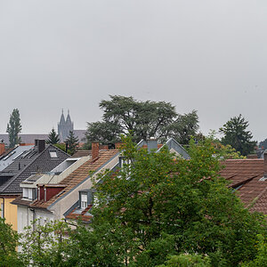 20240831-NZ7_0006.jpg